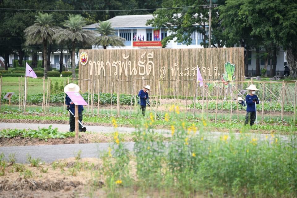 ภาพโครงการทหารพันธุ์ดี